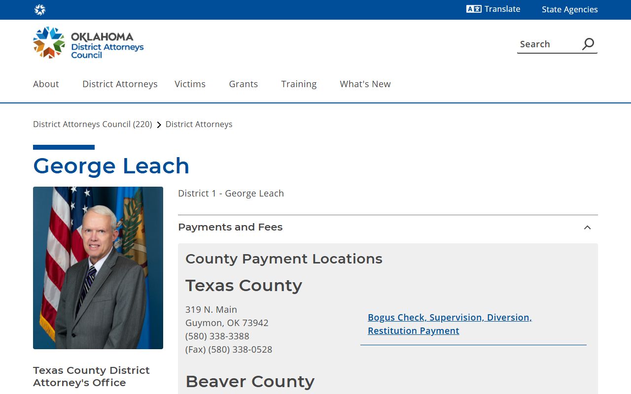 Texas County criminal court records District Attorney District 1 charging information